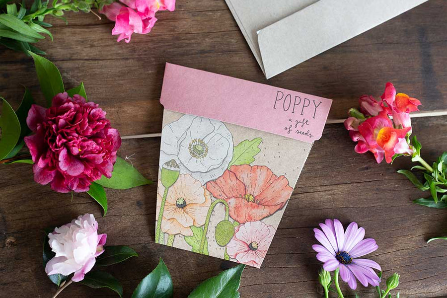 SOW N SOW - POPPY GIFT OF SEEDS
